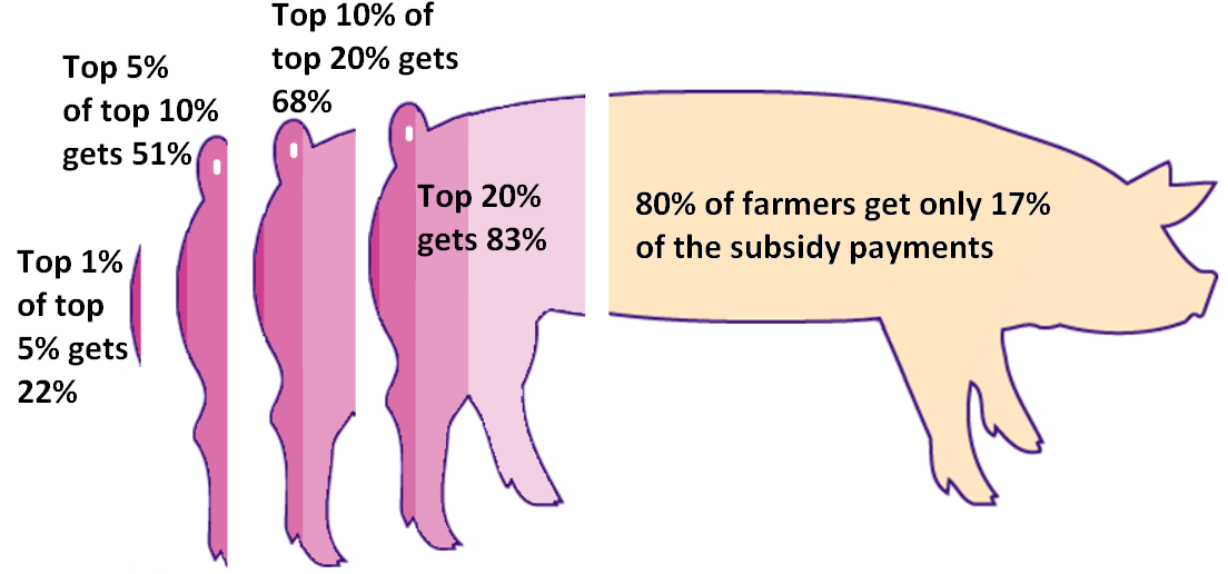Farm subsidies Classic pork problem The Bluegrass Institute for